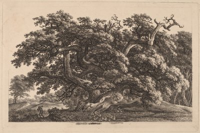 Een wijd uitlopende eik door Carl Wilhelm Kolbe