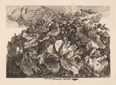 Bladerstudie met riet en hop door Carl Wilhelm Kolbe