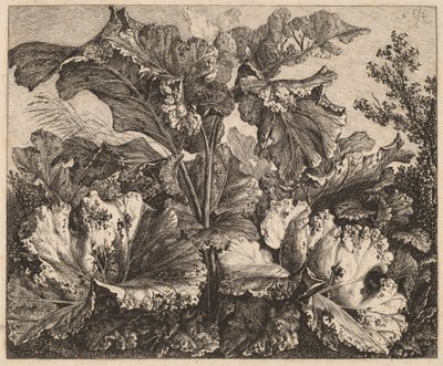Kleine Plantstudie: een Klit, Delicate Graspluimen Links door Carl Wilhelm Kolbe