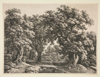 Boslandschap door Carl Wilhelm Kolbe the elder