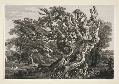 Landschap door Carl Wilhelm Kolbe the elder