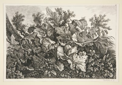 Landschap door Carl Wilhelm Kolbe the elder