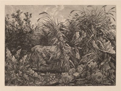 De koe in het moeras door Carl Wilhelm Kolbe, the elder