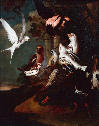 Een waterhoen, zwaluw, vinken en andere vogels in een bebost rivierlandschap door Carl Wilhelm de Hamilton