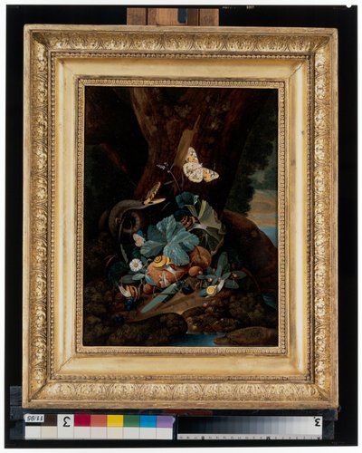 Bosbodem stillevens met slakken, slangen, hagedissen en vlinders door Carl Wilhelm de Hamilton