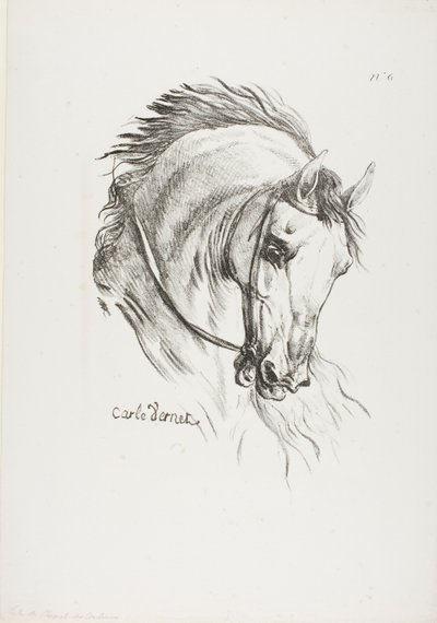 Detail van paardenhoofd, vergroot tot drievoudige grootte, huzaar, koninklijke garde, nr. 6 door Carle Vernet