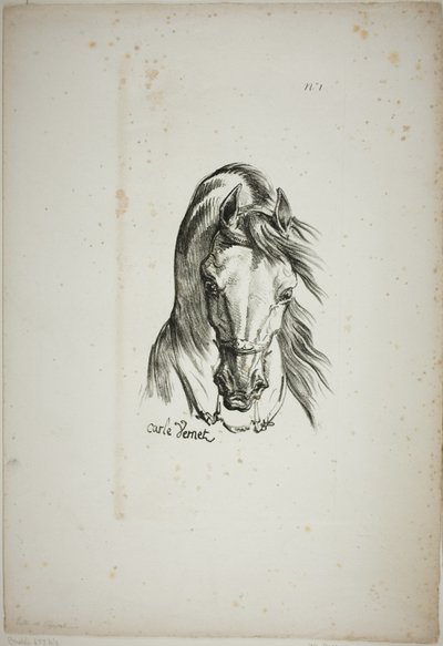 Detail van paardenhoofd, vergroot tot drievoudige grootte, Normandische Koninklijke Garde, nr. 1 door Carle Vernet