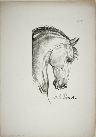 Detail van paardenhoofd, vergroot tot drievoudige grootte, Normandische Koninklijke Garde, nr. 3 door Carle Vernet