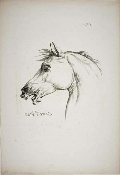 Detail van paardenhoofd, vergroot tot drievoudige grootte, Normandische Koninklijke Garde, nr. 4 door Carle Vernet