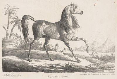 Suite de Chevaux: Arabisch Paard door Carle Vernet
