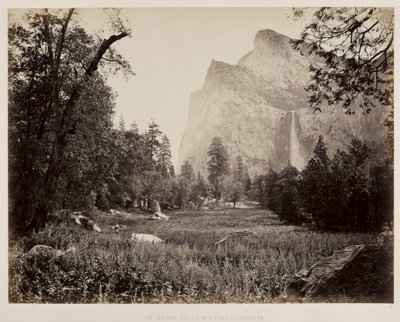 Bridal Veil, Yosemite, c. 1865-1866 door Carleton E. Watkins