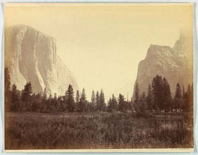 Door de vallei vanaf het begin van het Mariposa-pad, Yosemite, nr. 9 door Carleton E. Watkins