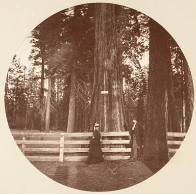 Auld Reckie door Carleton Emmons Watkins