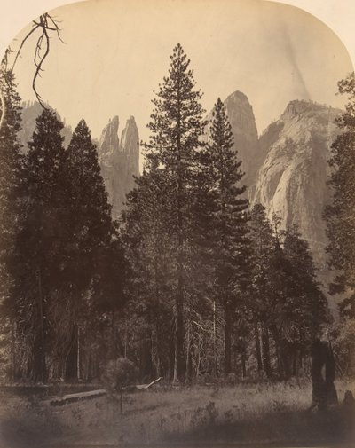Kathedraaltorens, 1861 door Carleton Emmons Watkins