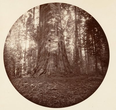 Empire State door Carleton Emmons Watkins