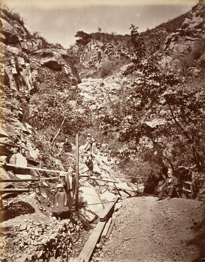 Heet zwavelbronnen, Santa Barbara, 1876, gedrukt ca. 1876 door Carleton Emmons Watkins