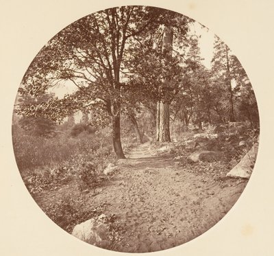In de Yosemite-vallei, ca. 1878 door Carleton Emmons Watkins