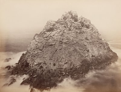 Sugar Loaf Eilanden, Farallons, 1868-69 door Carleton Emmons Watkins
