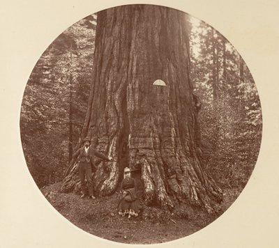 Het Empire State door Carleton Emmons Watkins