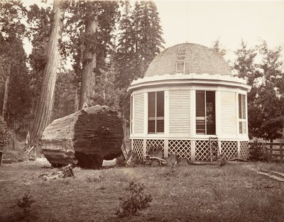 Het Huis Gebouwd over de Stronk van een Grote Boom, 1865-66, gedrukt ca. 1876 door Carleton Emmons Watkins