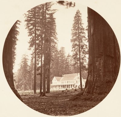 W. C. Bryant - Calaveras Grove, ca. 1878 door Carleton Emmons Watkins