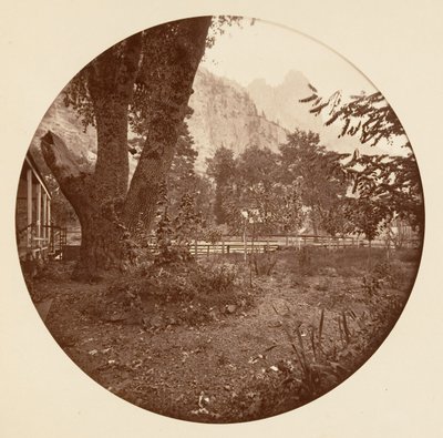 [Yosemite National Park, Californië], ca. 1878 door Carleton Emmons Watkins