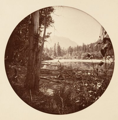 [Yosemite National Park, Californië] door Carleton Emmons Watkins