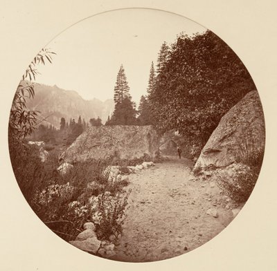 [Yosemite National Park, Californië], ca. 1878 door Carleton Emmons Watkins