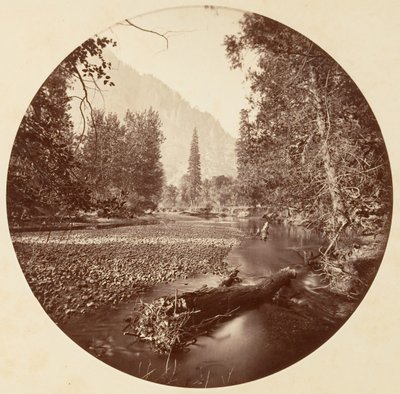 Yosemite National Park, Californië door Carleton Emmons Watkins