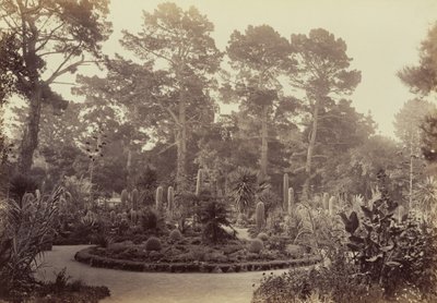  door Carleton Watkins