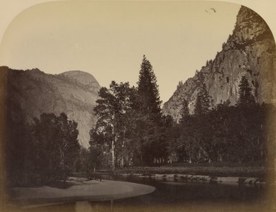 Camp Grove - Yo Semite door Carleton Watkins