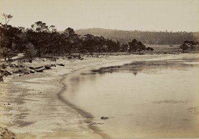 [Uitzicht op de kust bij Monterey] door Carleton Watkins
