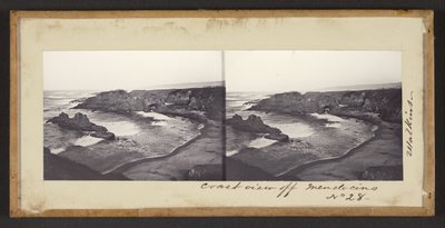 Kustzicht bij Mendocino door Carleton Watkins