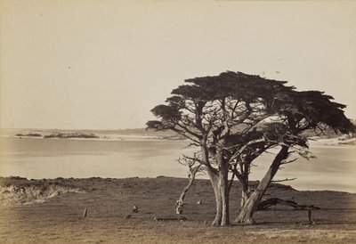  door Carleton Watkins