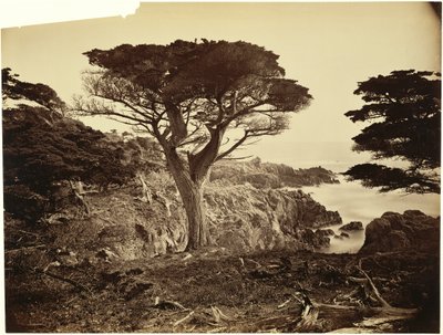  door Carleton Watkins
