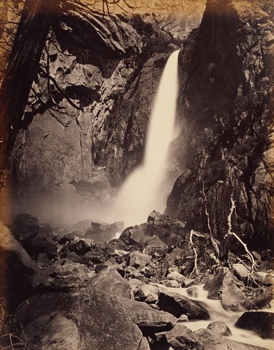  door Carleton Watkins
