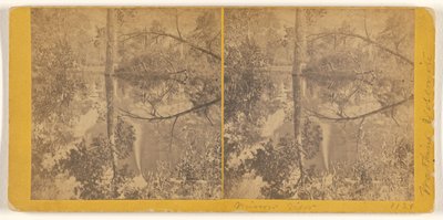[Spiegelbeeld, Yosemite Valley, Mariposa County, Cal.]. door Carleton Watkins