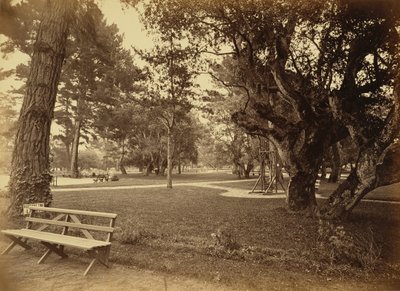 [Monterey, Californië. Hotel Del Monte, Lawn View]. door Carleton Watkins