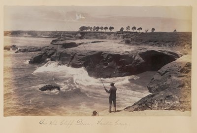  door Carleton Watkins