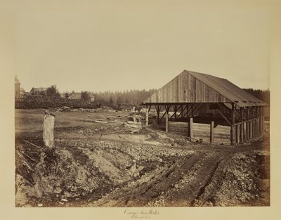 Oswego ijzerfabriek, Willamette rivier door Carleton Watkins