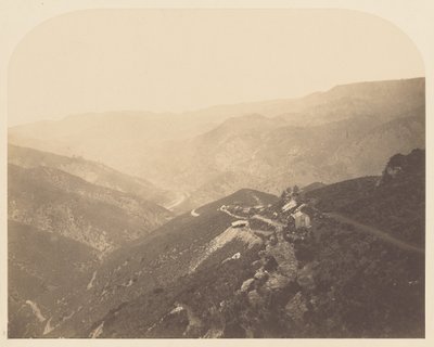 [Pine Tree Mine]. door Carleton Watkins