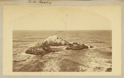 Zeehondenrotsen. door Carleton Watkins