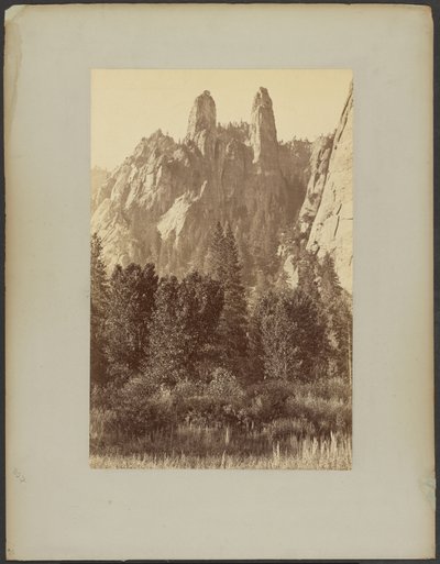  door Carleton Watkins