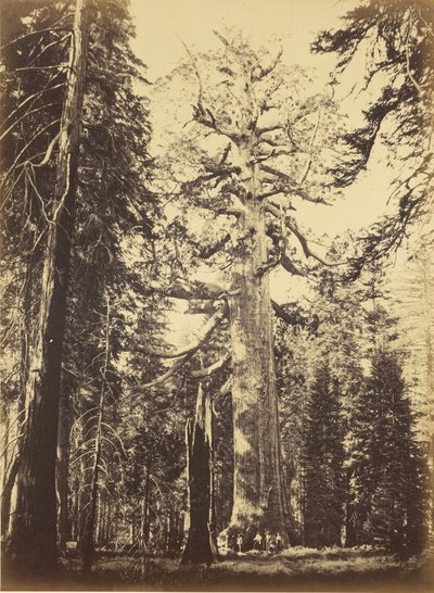  door Carleton Watkins