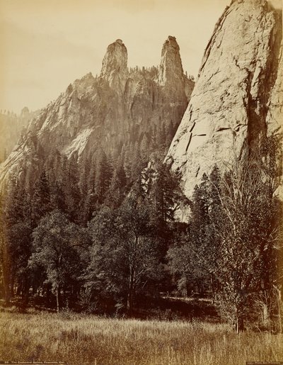  door Carleton Watkins