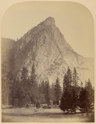  door Carleton Watkins