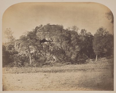 [Torenrots - West] door Carleton Watkins