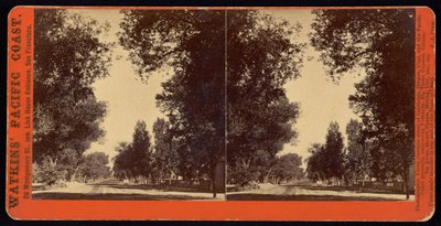 Met bomen omzoomde straat in San Gabriel, Californië door Carleton Watkins