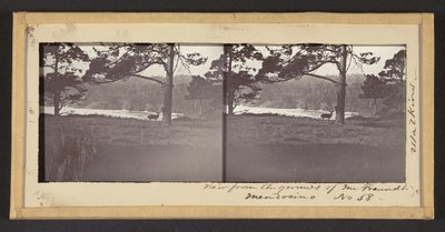 Uitzicht vanaf het Landgoed van de Heer Freundt, Mendocino door Carleton Watkins