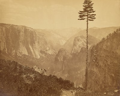 [Yosemite Valley vanaf de Mariposa Trail] door Carleton Watkins